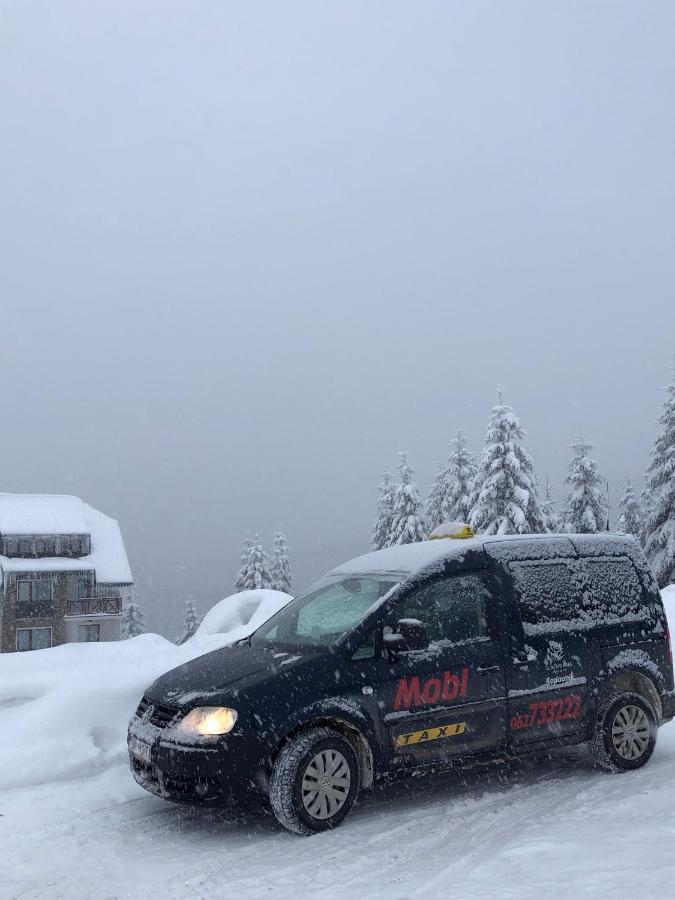 Vila Planinsko Blago Kopaonik Exterior foto
